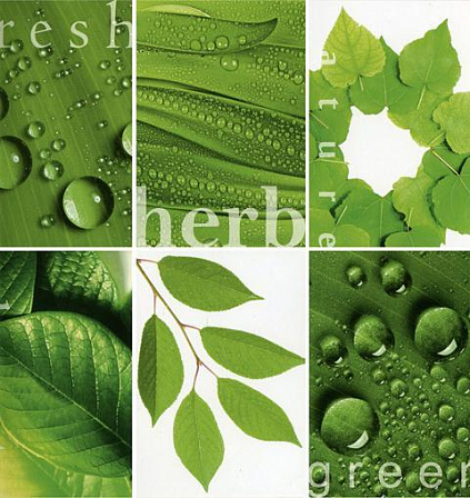 Фотообои "Зелёная мозаика" (194х204 см, 6 листов)