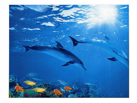 Фотообои Premium "Дельфины" (194х136 см, 4 листа)