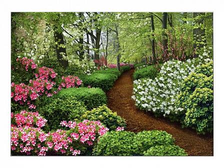 Фотообои Premium "Весенний сад" (272х194 см, 8 листов)