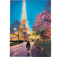 Алмазная мозаика  ?Город любви? (20х30 см)