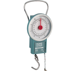 HOMESTAR HS-3010M безмен механический