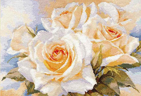 "Белые розы"