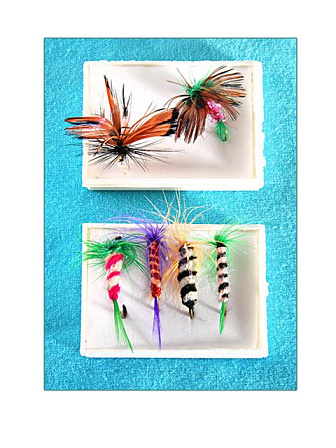 Набор №21 /мухи/