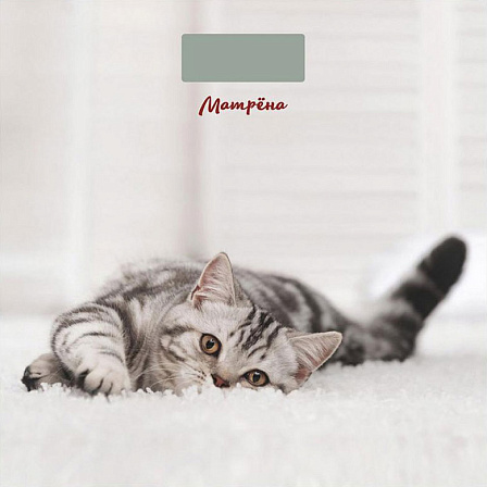 МАТРЁНА МА-090 весы напольные