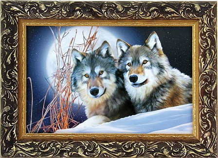 Картина "Волки"  в рамке