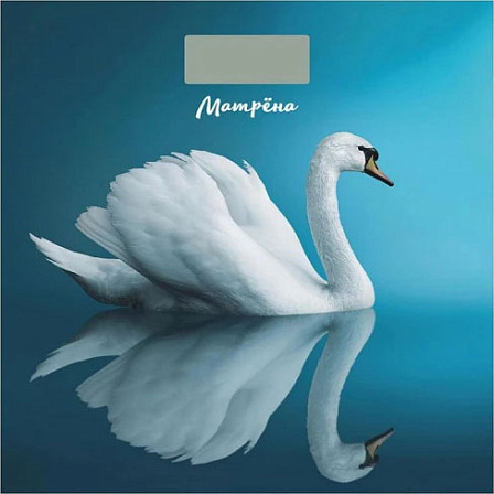 МАТРЁНА МА-090 весы напольные