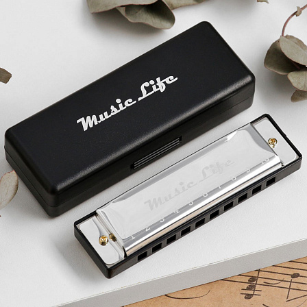 Губная гармошка диатоническая "Music Life"