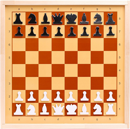 Шахматы демонстрационные магнитные