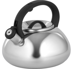 ДОЛЯНА ?Квант? чайник (2,8 литра)